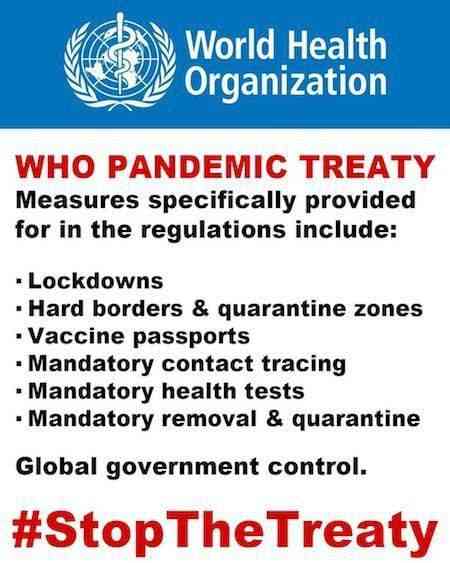 who-pandemic-treaty-summary.jpg
