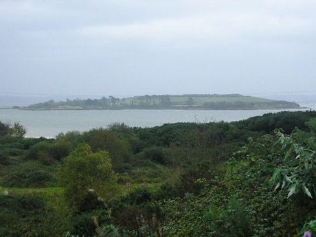 The proposed site for the incinerators, with Spike island in the background