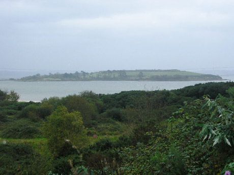 Click on image to see full-sized version The proposed site for the incinerators, with Spike island in the background