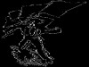 blackflag02.gif