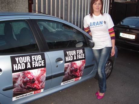 driving_home_antifur_message_limerick.jpg