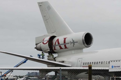Click on image to see full-sized version Doggy engine on a doggy plane going to a doggy war