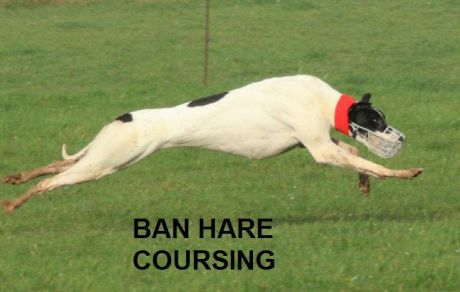 racing_grey.jpg