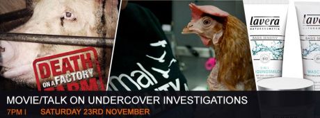Click on image to see full-sized version Undercover Investigations