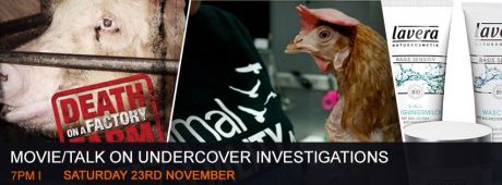 Undercover Investigations