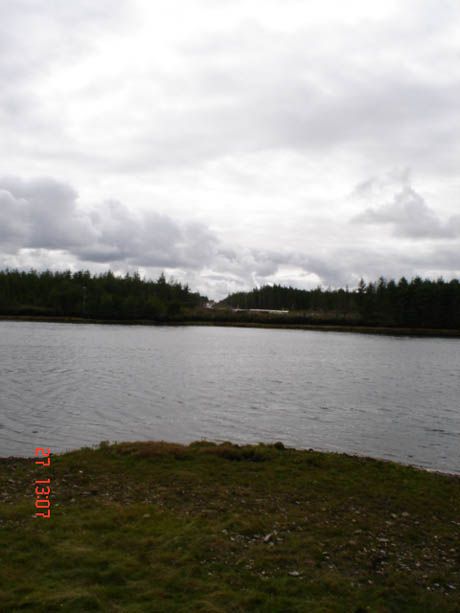 Shell Development in Coillte Forestry