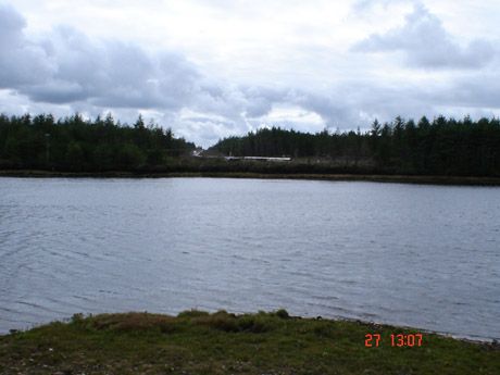 Shell Development in Coillte Forestry