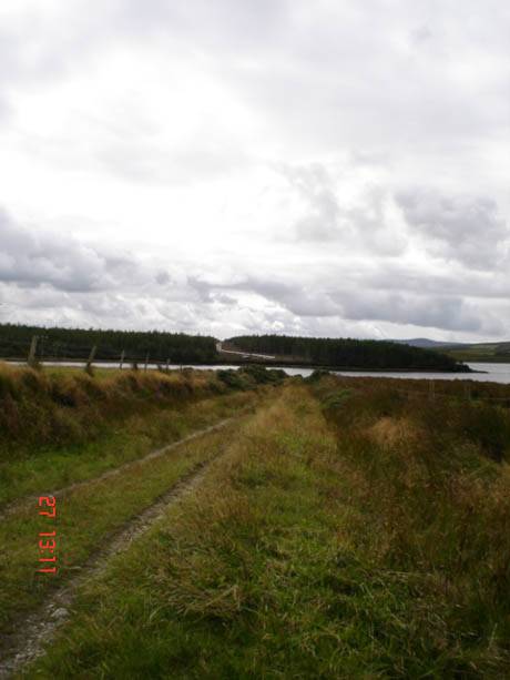 Shell Development in Coillte Forestry