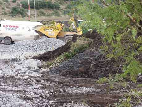 Click on image to see full-sized version Trees illegally damaged by Greenstar