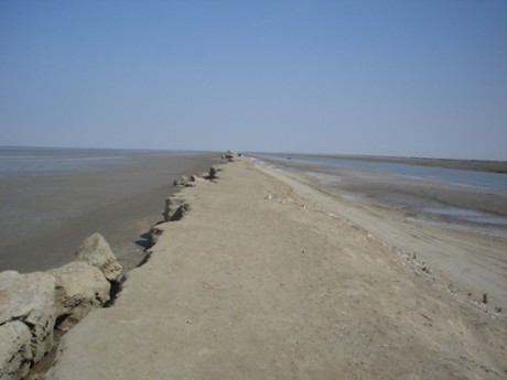 Sea intrusion in Badin Sindh