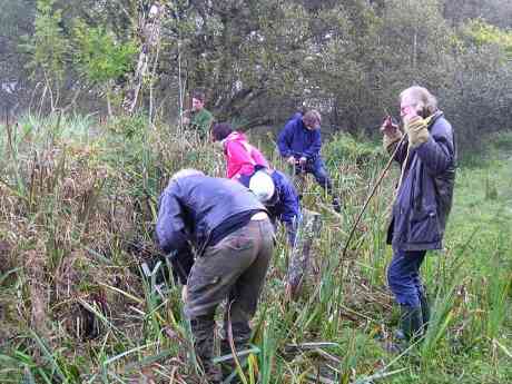 River ecology