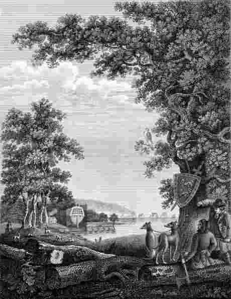 Click on image to see full-sized version newforest_wl.jpg