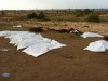 Bodies of persons lie in the garden of the Mahari Hotel in Sirte, immediately after they were put into body bags by local residents. At the time of their killing the hotel was apparently controlled by anti-Gaddafi fighters from Misrata. 53 persons were ap