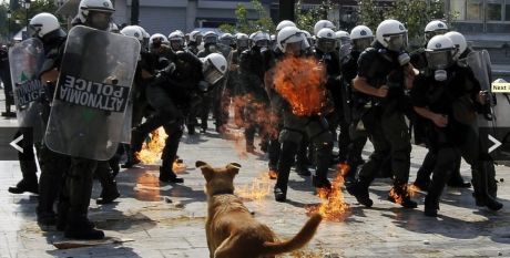 The greek riot dog is still up at the front lines