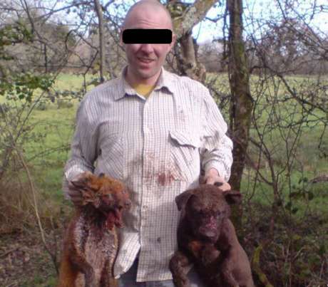 The aftermath of a "dig-out"...both fox and dog are victims of the cruelty