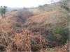 A Section of the Black Pig's Dyke on Ardkill Mountain