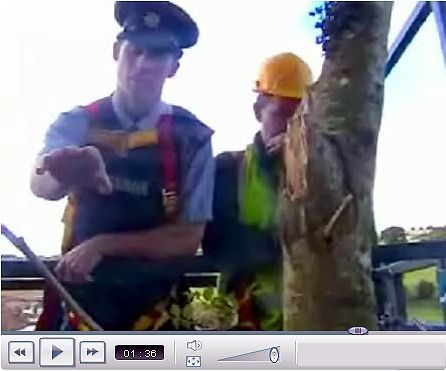 Video 1: Tigger on the Tripod