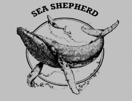 sea_shepherd_logo.jpg