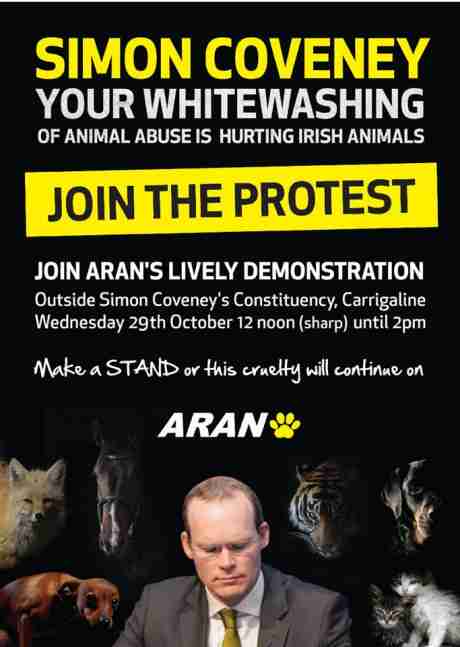 Click on image to see full-sized version simon_coveney_demo.jpg
