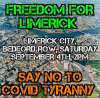 freedom_for_limerick_bedford_row_sat_4th_sept.jpg